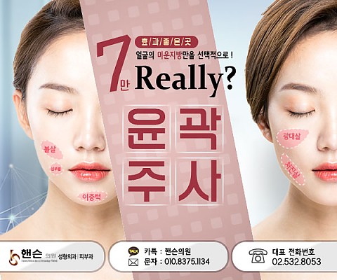 핸슨의 얼굴작아지는시술들 