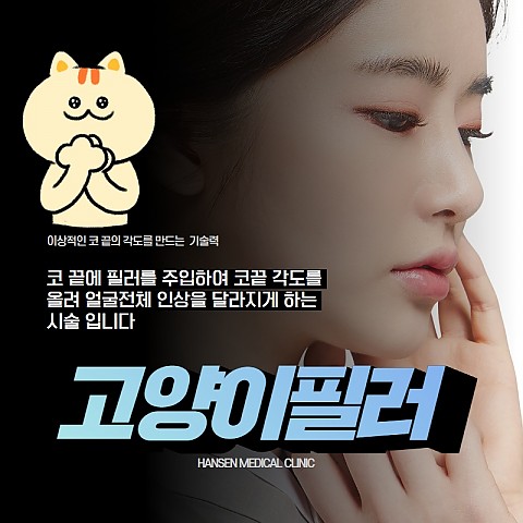 고양이필러 효과 가격 비용좋게 부작용없이 잘하는곳 핸슨 