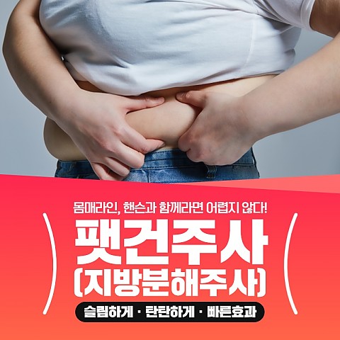 강남 서초 지방분해주사 가격 1:1로 개인별 맞춤 